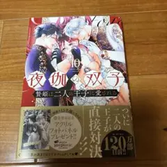 【9月新刊】夜伽の双子-贄姫は二人の王子に愛される-⑩