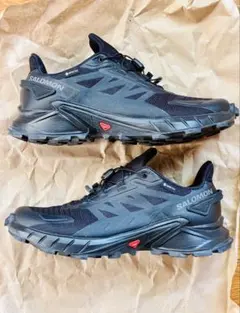 Item thumbnail for item 10b03b2f-84f0-4957-8317-f86b4a9aea09