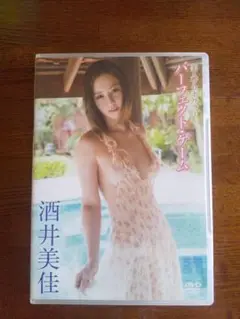 パーフェクト・ゲーム DVD 酒井美佳。(グラビアDVD)。