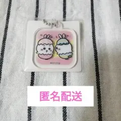 치이카와 アクリルキーホルダー 하치와레 イースター