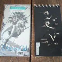 Item thumbnail for item 41cf876d-a90d-4860-80f6-85ae2ec25386