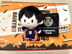 ハイキュー!! Popmart中国限定 ぬいぐるみ付きフェルトバッジ　影山　飛雄
