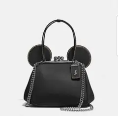 COACH ディズニー ミッキー バッグ