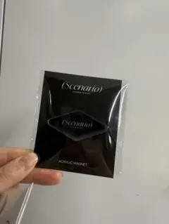 チ・チャンウク シナリオ アクリルマグネット