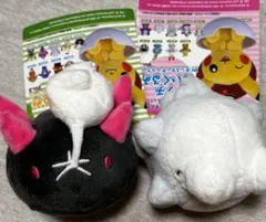 ナマコブシ　まとめ売り 258f8f55dcd3a1c2515927037ad5b5