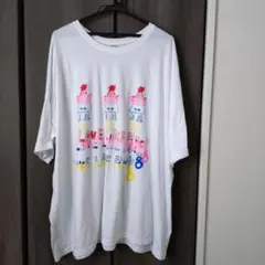 aiko LLR8 ライブグッズ はじめてのBIGおT （白）