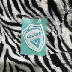 2025年最新】seventeen ワッペン エスクプスの人気アイテム