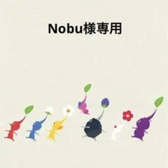 Item thumbnail for item e0d9c6b6-1ecd-4157-b304-c27f17573556