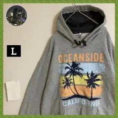フルーツオブザルーム カリフォルニア ビッグロゴ 袖太フーディー パーカー 古着のサムネイル