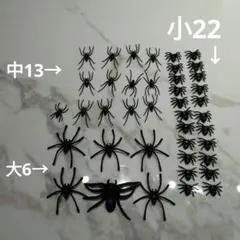 蜘蛛　くも　おもちゃ