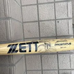 Item thumbnail for item a87255ed-c7b6-4f1f-841e-fd631cbd2777