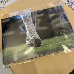 月刊タイガース11月号　特別付録のみ