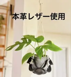 2025年最新】ビカクシダ 本の人気アイテム - メルカリ