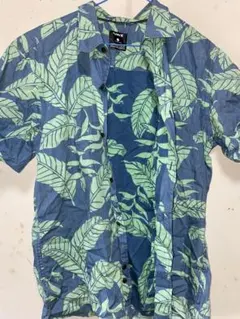 Item thumbnail for item 40fe3f60-039e-45f3-9812-22dd5345996a