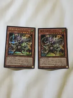 遊戯王 エルフェンノーツレギナ シークレット シク - メルカリ