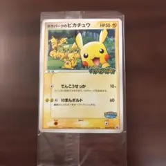 未開封 ポケパークのピカチュウ PROMO 043/PCG-P ポケパークのピカチュウ ポケパーク アトラクション限定カード PROMO