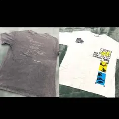 ZARA キッズ Tシャツ 2枚 セット売り 120cm