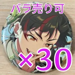 南雲鉄虎 あんスタ コレクション缶バッジ 2025 Jul Idol 30個