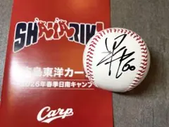 2026年最新】田村俊介の人気アイテム - メルカリ