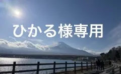 ひかる様専用です 他の方は購入お控えください