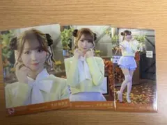 木漏れ日メゾフォルテ