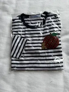 THE NINTH APOLLO ボーダー半袖Tシャツ ネオングリーン 緑 - メルカリ