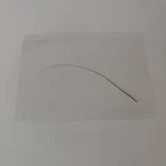 黒猫のヒゲ