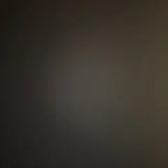 Pherrow's チノパン 31