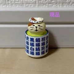 デコレ コンコンブル 寿司屋のお茶猫　現品