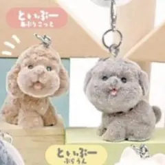 コロンとベビわんこ といぷー あぷりこっと ぶらうん ころふわ めじるしチャーム