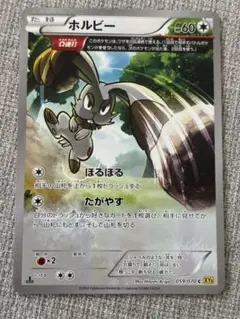 ホルビー THE BEST OF XY 107/171 - メルカリ