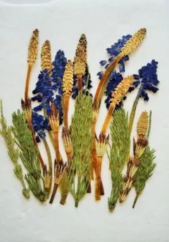 Item thumbnail for item 9bab9a63-cac9-420a-af34-7115a3c2d70f