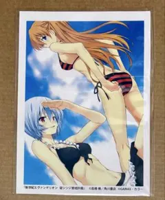 新世紀エヴァンゲリオン　碇シンジ育成計画 14巻 アニメイト 特典 アスカ レイ