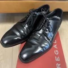 Item thumbnail for item 3e031ce9-3cf5-4f8f-8dea-faaa0ce69852