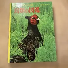 鳥類の図鑑 小学校の理科図鑑 4