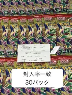 【封入率一致】ポケモンカードゲーム ストームエメラルダ