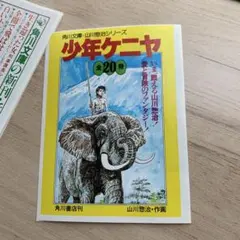 前世紀少年サピン　小学3年生　小学4年生　山川惣治 Amazon.co.jp: 少年王者 9 (角川文庫 緑 547-29) : 山川 惣治: 本