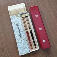新品】HYDE チャリティーグッズ 北陸若狭塗お箸〈金・銀セット