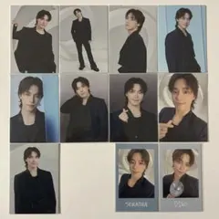 SEVENTEEN ディノ NEW_ トレカ インスタントフォト 11枚