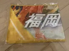【新品未使用】24ファイト！九州タオルマフラー(福岡)