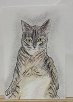 絵画 アクリル画 手描き 原画 猫の絵 猫の絵画ドローイング - メルカリ