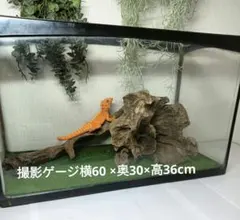 Item thumbnail for item 534582de-71d6-43a3-877e-139bad5d3907