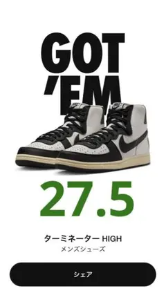 ナイキTERMINATOR HIGH ターミネーター ブラックアンドファントム