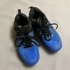 Item thumbnail for item 4df59350-5f51-4610-8110-b57197e53d6b