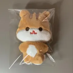 ホンジュン ATEEZ ANITEEZ フラットファー チュンラミ