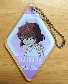 名探偵コナン 灰原哀 アクリルキーホルダー