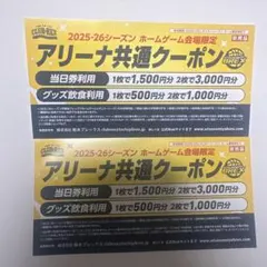 宇都宮ブレックス アリーナ共通クーポン2枚