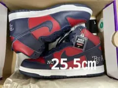 Supreme × Nike SB Dunk High By Any Means