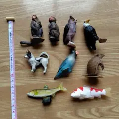 チョコエッグ 動物フィギュア レトロセット