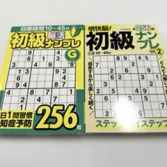 【 新品 】初級脳活ナンプレ 256問 ２冊セット